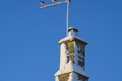 Roosting