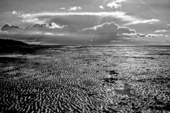 Land-1