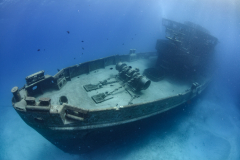 US Kittiwake, Cayman